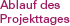 Ablauf des Projekttages